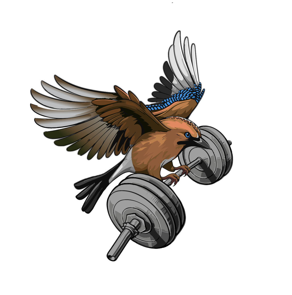 Suomen Aitovoimailu ry